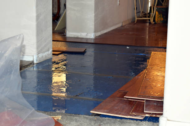 Professional Flood Damage Repair technician working in Strawn, TX